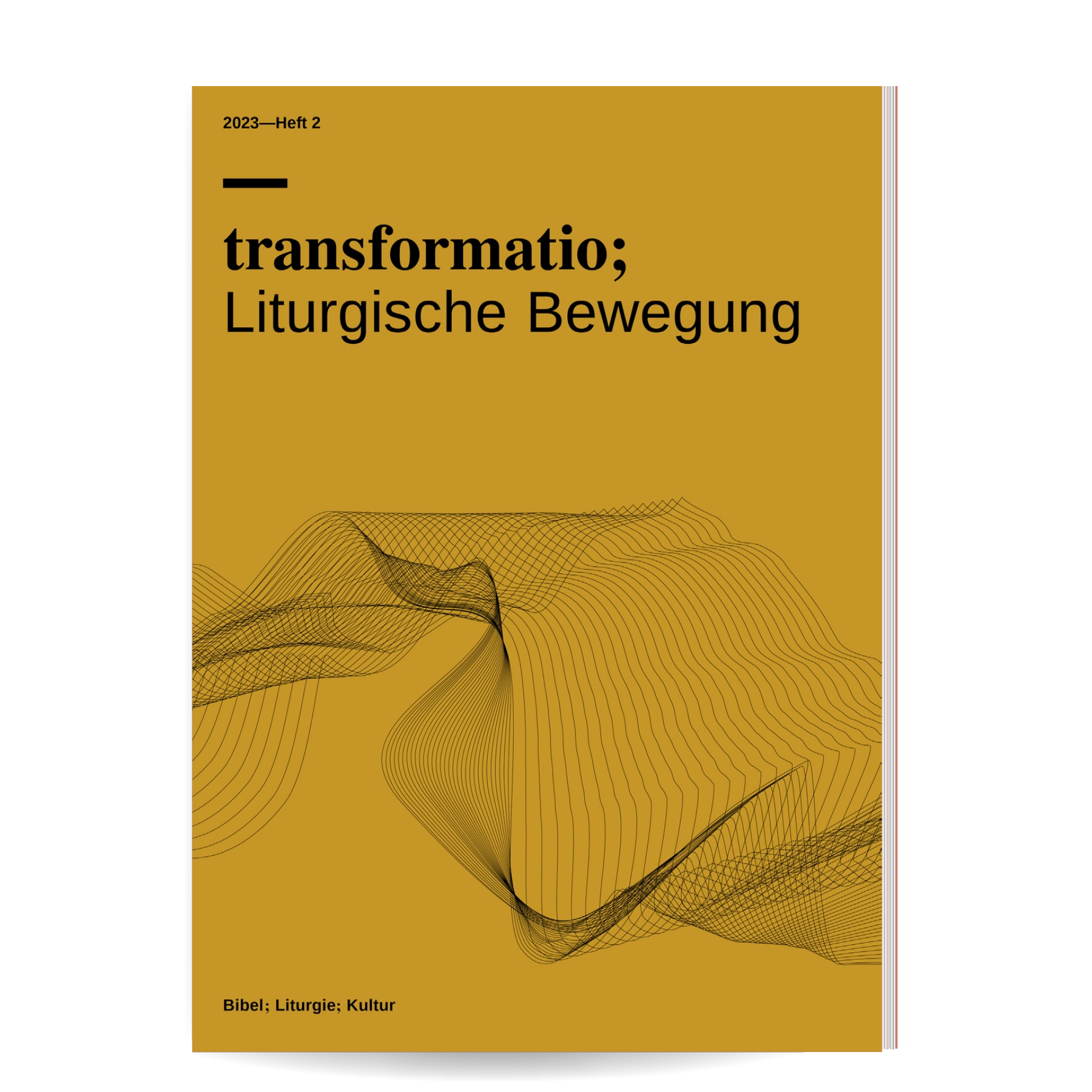 Editorial Design transformatio;